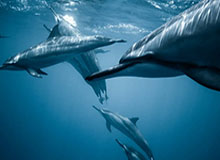 mk体育入口：一站式体育世界的灯塔